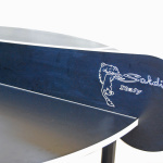 Ping Pong Orbit - immagine 3